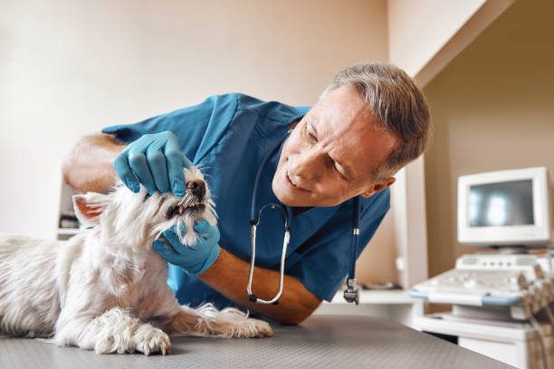 Best Emergency Wisdom Tooth Extraction in Fort Pierce South, FL